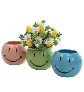 happy face plant pot SMILEY FACE PLANTER