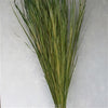 WILD GRASS GREEN PKG