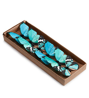 SMALL BLUE BUTTERFLY 6PC BOX