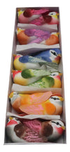 2.5in FEATHER BIRD ASSORTED