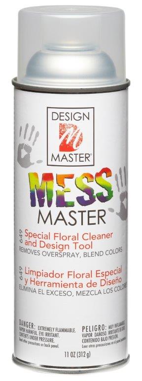 PAINT MESS MASTER        CAN