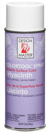 PAINT HYACINTH           CAN