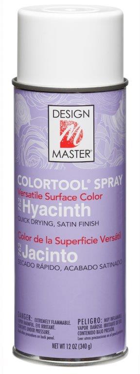 PAINT HYACINTH           CAN