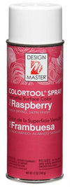 PAINT RASPBERRY          CAN