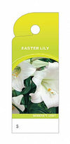 CARE TRIM TAGS EASTER LILY    100PC PK