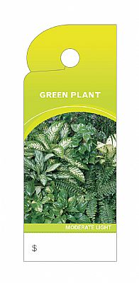 CARE TRIM TAGS GREEN PLANTS   100PC PK