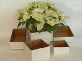 * 6X6X9 DELIVERY BOX   100PC CASE