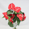 ANTHURIUM BUSH X12 RED