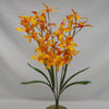 DENDROBIUM ORCHID X5 YELLOW EACH