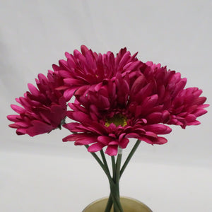 GERBERA DAISY X6 ORCHID EACH