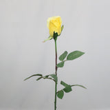 PLANTERS ROSE BUD YELLOW EACH