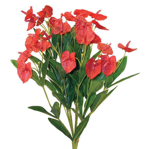 mini anthurium image_cb67325f-7bdf-4aa2-b34d-6833856a1a1f_300x.jpg?v=1571736728