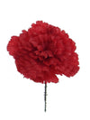 4.25in DIA.CARNATION PICK RED 100PC BX